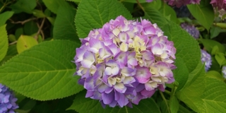 20190609113947778.jpg